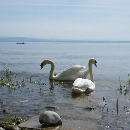 Landgasthof Sternen *