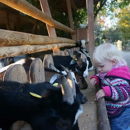 Landgasthof Sternen * Deggenhausertal